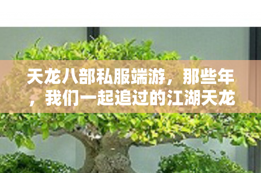 我们一起追过的江湖天龙八部私服图片