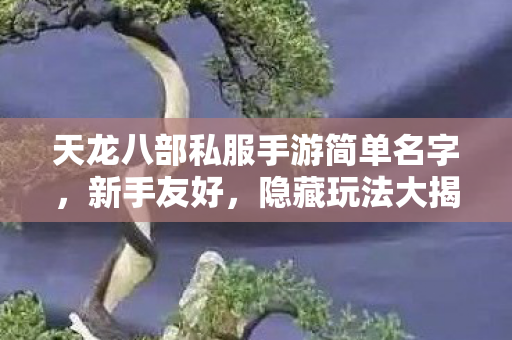 天龙八部私服手游简单名字图片
