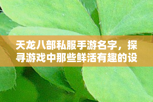 探寻游戏中那些鲜活有趣的设定天龙八部私服图片