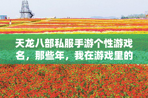 我在游戏里的独特取名之旅天龙私服图片
