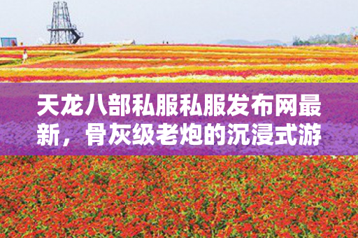 骨灰级老炮的沉浸式游戏历程天龙八部私服图片