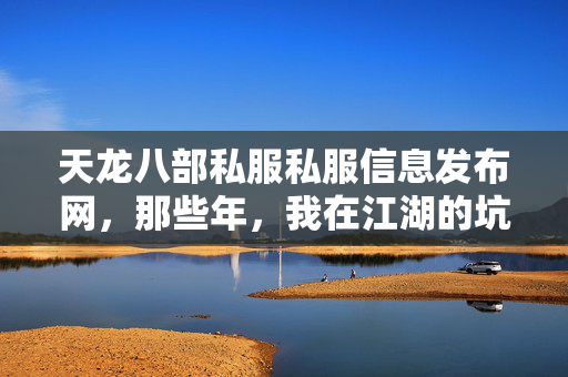 我在江湖的坑与野路子天龙私服图片