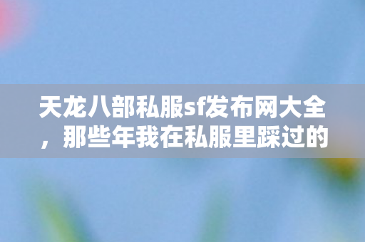 那些年我在私服里踩过的坑与摸出的野路子天龙八部私服图片