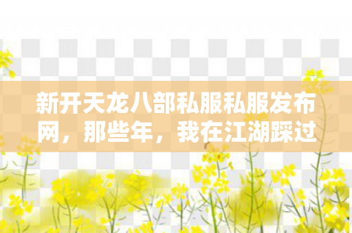 我在江湖踩过的坑与摸出的野路子天龙私服图片