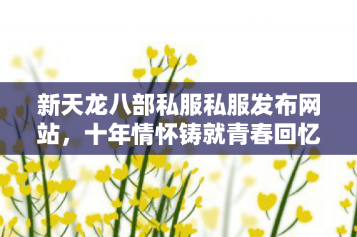 新天龙八部私服私服发布网站图片