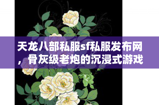 骨灰级老炮的沉浸式游戏回忆与经验分享天龙私服图片