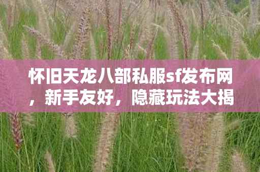 怀旧天龙八部私服sf发布网图片