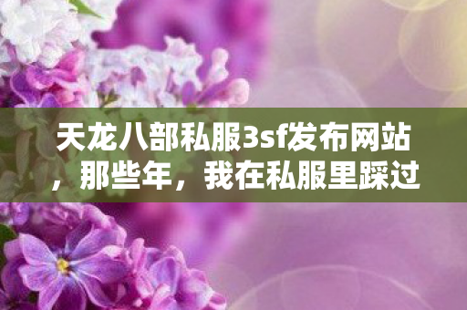 我在私服里踩过的坑与摸出的野路子天龙私服图片