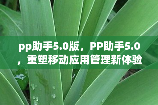 pp助手5.0版,PP助手5.0,重塑移动应用管理新体验 pp助手5.0版,PP助手5.0,重塑移动应用管理新体验