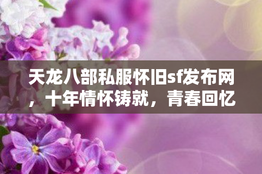 天龙八部私服怀旧sf发布网图片