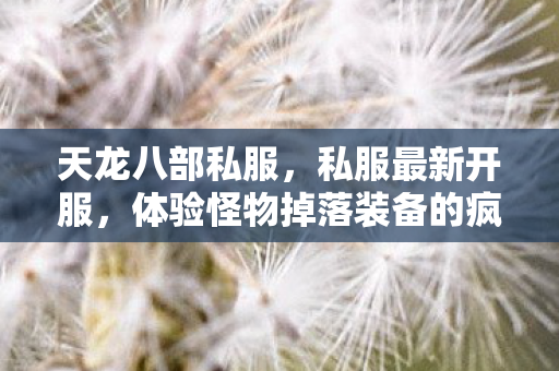 体验怪物掉落装备的疯狂快感图片