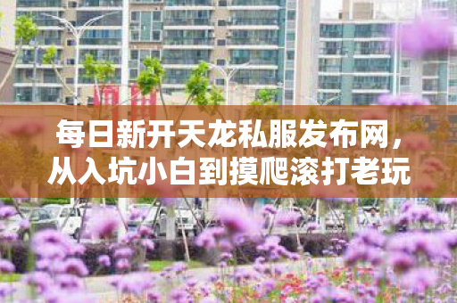 从入坑小白到摸爬滚打老玩家的血泪历程天龙私服图片