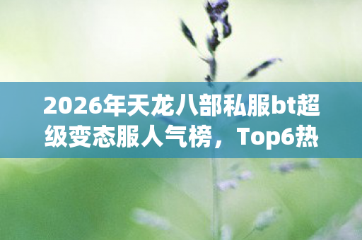 2026年天龙八部私服bt超级变态服人气榜图片