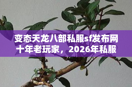 变态天龙八部私服sf发布网十年老玩家图片