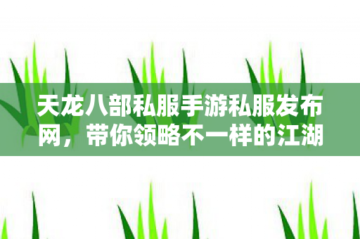 带你领略不一样的江湖传奇天龙私服图片