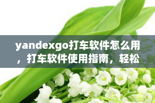 yandexgo打车软件怎么用,打车软件使用指南,轻松出行,安全便捷 yandexgo打车软件怎么用,打车软件使用指南,轻松出行,安全便捷