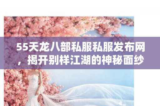 揭开别样江湖的神秘面纱天龙私服图片