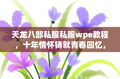天龙八部私服私服wpe教程图片