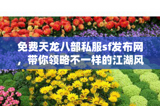 带你领略不一样的江湖风云天龙八部私服图片