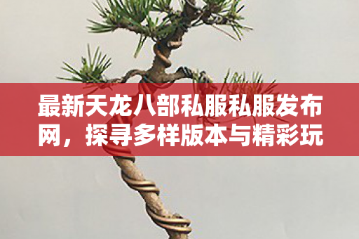 探寻多样版本与精彩玩法天龙八部私服图片