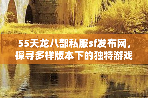 探寻多样版本下的独特游戏体验天龙八部私服图片