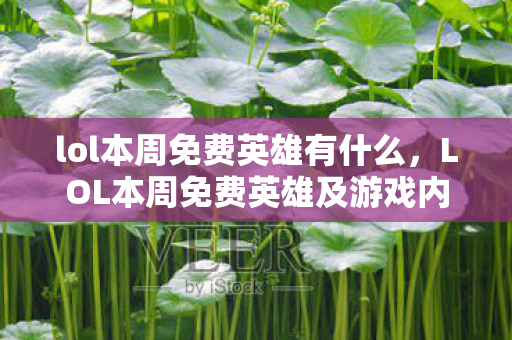 lol本周免费英雄有什么，LOL本周免费英雄及游戏内容更新解析