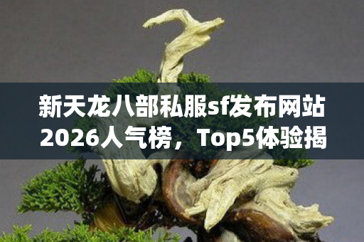 新天龙八部私服sf发布网站2026人气榜图片