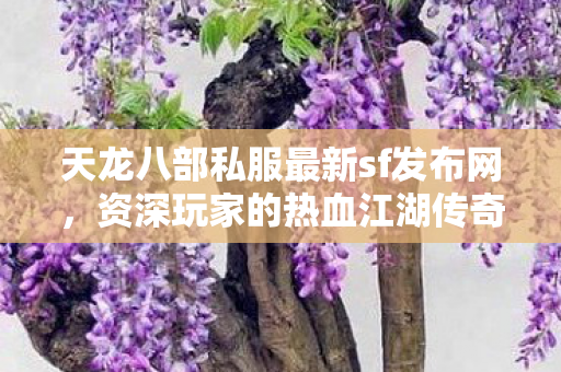 资深玩家的热血江湖传奇天龙私服图片