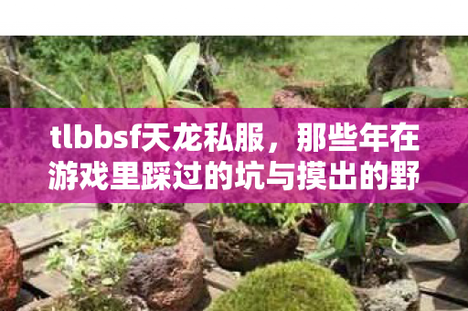 那些年在游戏里踩过的坑与摸出的野路子天龙私服图片