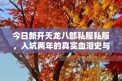 入坑两年的真实血泪史与野路子分享天龙八部私服图片