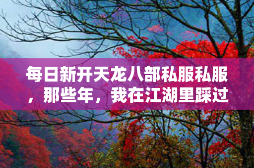 我在江湖里踩过的坑与摸出的野路子天龙八部私服图片