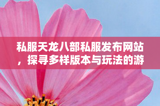 探寻多样版本与玩法的游戏世界天龙八部私服图片