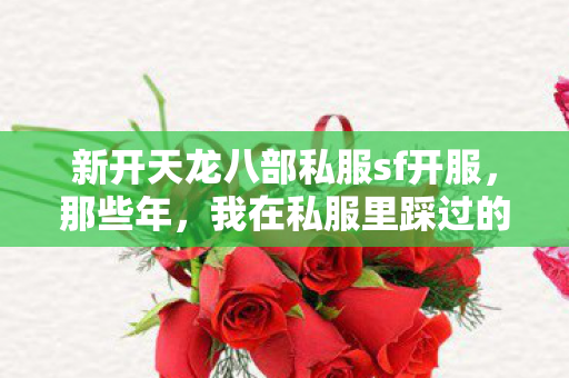 我在私服里踩过的坑与摸出的野路子天龙八部私服图片