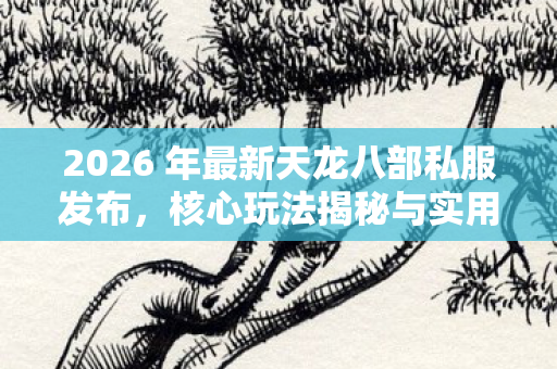 2026 年最新天龙八部私服发布图片