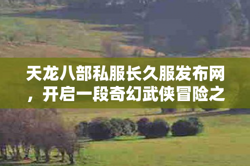 天龙八部私服长久服发布网,开启一段奇幻武侠冒险之旅天龙八部私服 天龙八部私服长久服发布网,开启一段奇幻武侠冒险之旅天龙八部私服