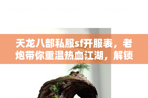 解锁全功能玩法天龙八部私服图片
