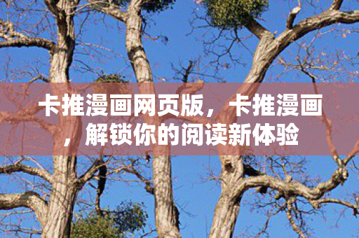 卡推漫画网页版,卡推漫画,解锁你的阅读新体验 卡推漫画网页版,卡推漫画,解锁你的阅读新体验