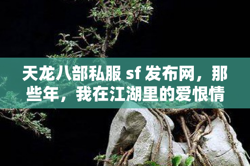 我在江湖里的爱恨情仇与打怪摸宝路天龙私服图片