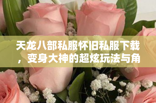 变身大神的超炫玩法与角色塑造秘籍天龙八部私服图片