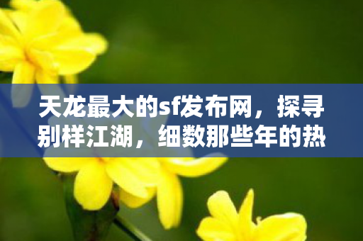 天龙最大的sf发布网,探寻别样江湖,细数那些年的热血与坑洼天龙八部私服 天龙最大的sf发布网,探寻别样江湖,细数那些年的热血与坑洼天龙八部私服