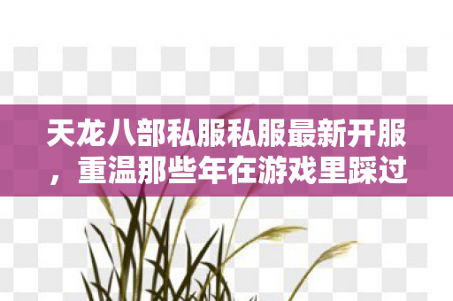 天龙八部私服私服最新开服,重温那些年在游戏里踩过的坑与摸出的野路子天龙八部私服 天龙八部私服私服最新开服,重温那些年在游戏里踩过的坑与摸出的野路子天龙八部私服