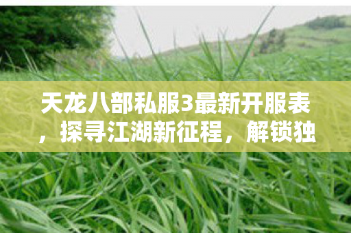 天龙八部私服3最新开服表,探寻江湖新征程,解锁独特游戏体验天龙私服 天龙八部私服3最新开服表,探寻江湖新征程,解锁独特游戏体验天龙私服