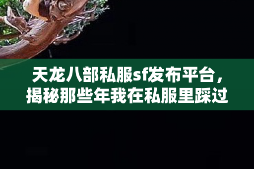 天龙八部私服sf发布平台,揭秘那些年我在私服里踩过的坑与摸出的门道天龙八部私服 天龙八部私服sf发布平台,揭秘那些年我在私服里踩过的坑与摸出的门道天龙八部私服