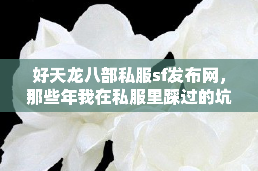 好天龙八部私服sf发布网,那些年我在私服里踩过的坑与摸出的野路子天龙私服 好天龙八部私服sf发布网,那些年我在私服里踩过的坑与摸出的野路子天龙私服