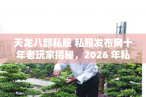 2026 年私服圈痛点与解决方案天龙八部私服图片