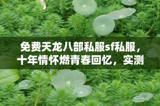免费天龙八部私服sf私服图片