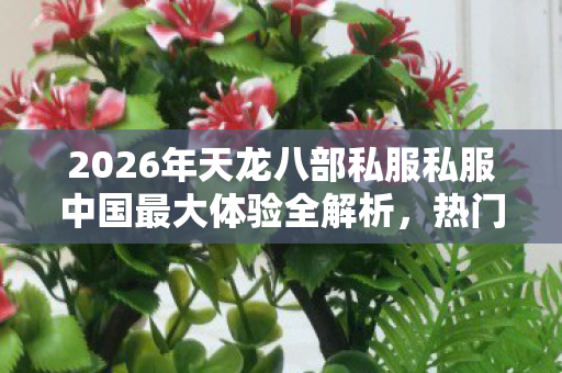 2026年天龙八部私服私服中国最大体验全解析图片