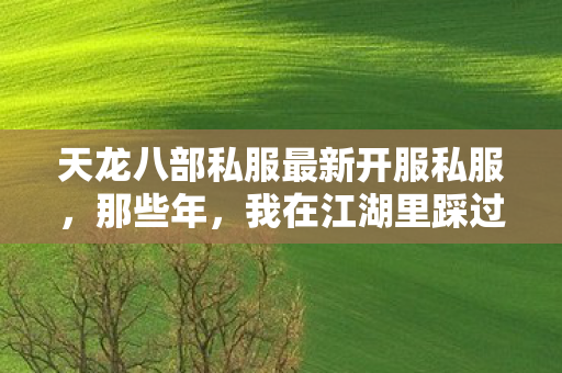 天龙八部私服最新开服私服,那些年,我在江湖里踩过的坑与摸出的野路子天龙私服 天龙八部私服最新开服私服,那些年,我在江湖里踩过的坑与摸出的野路子天龙私服