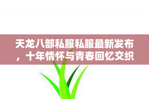 十年情怀与青春回忆交织的实测认证指南天龙私服图片