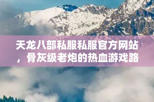 骨灰级老炮的热血游戏路与萌新避坑指南天龙私服图片